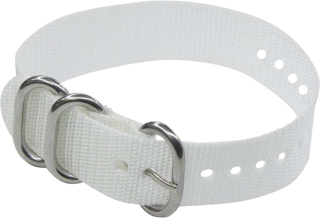 Easy Exchange, One Strap Nylon Watch Band in White, Orange, Lime, Aqua, Salmon, Black (18mm, 20mm) by DAKOTA (18, White)