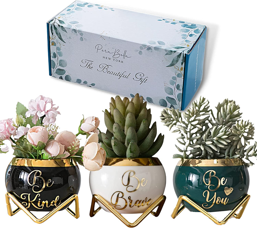  3 Succulent Pots For Her  