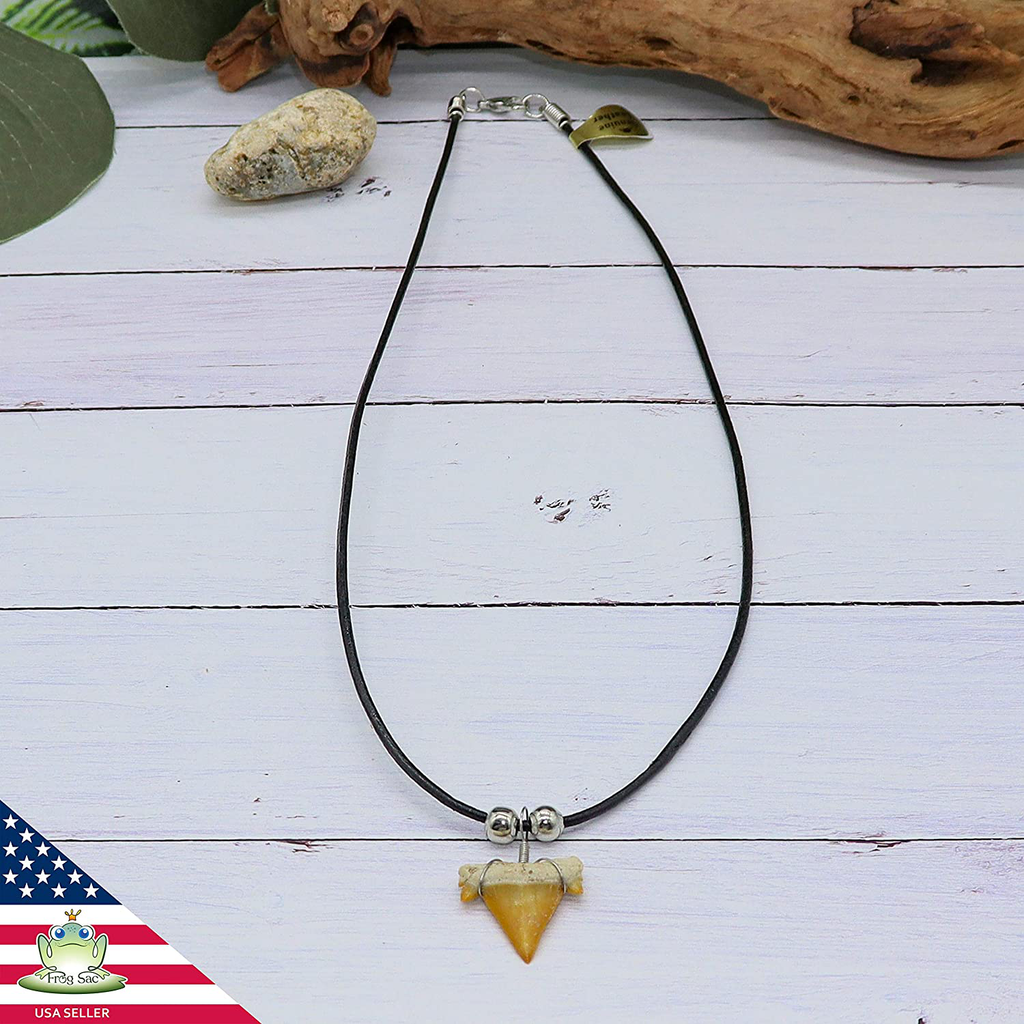 FROG SAC Natural Shark Tooth Necklace for Boys, Genuine Fossil Shark Teeth Jewelry Surfer Necklace, Cool Beach Necklaces for Men, Teen Girls Leather Cord Shark Necklace, Shark Tooth Pendant Neckless