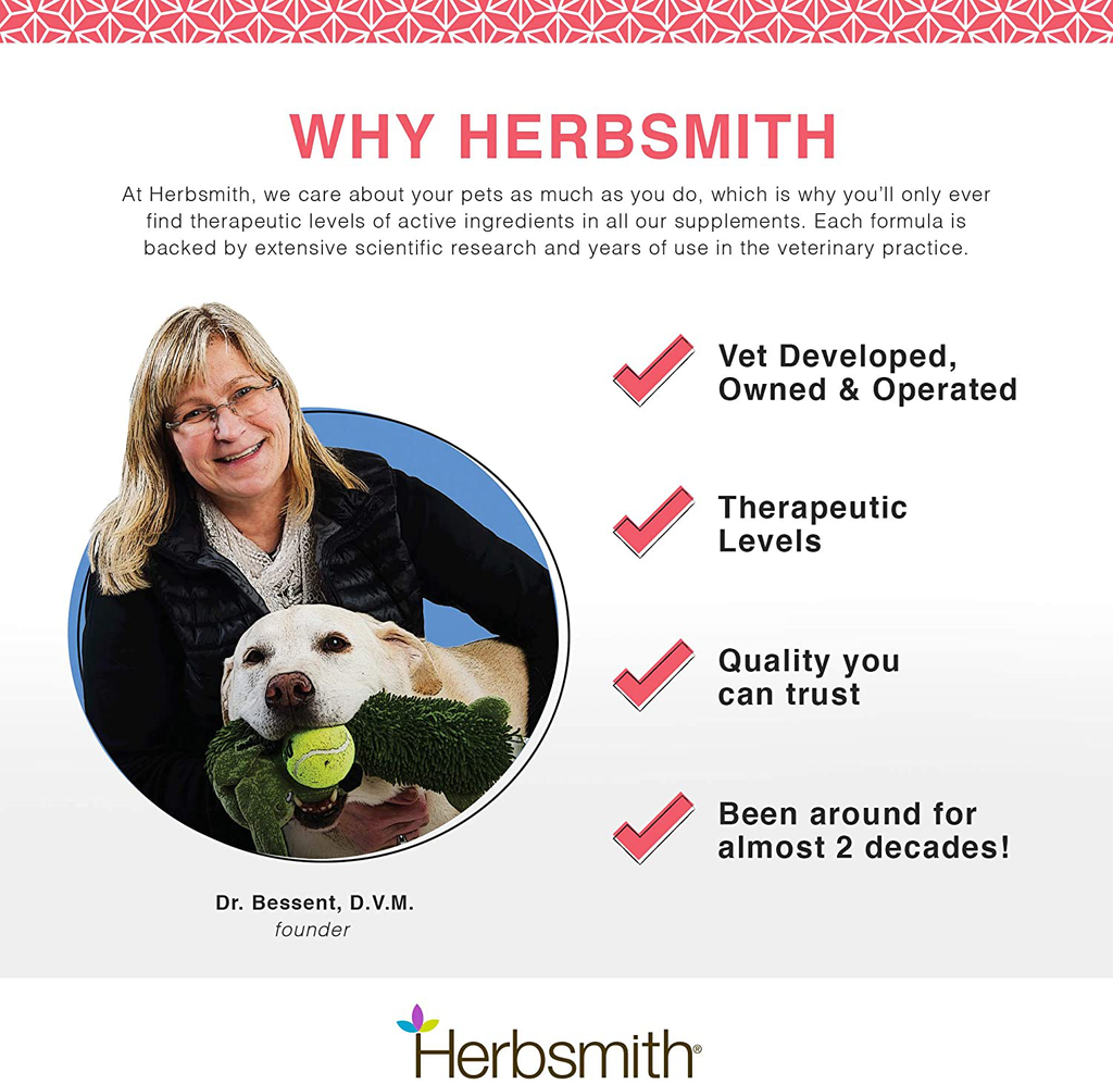 Herbsmith Senior Dog Wisdom – Dog Dementia Supplement – DHA for Senior Dog Brain Health - Senior Supplement for Dogs