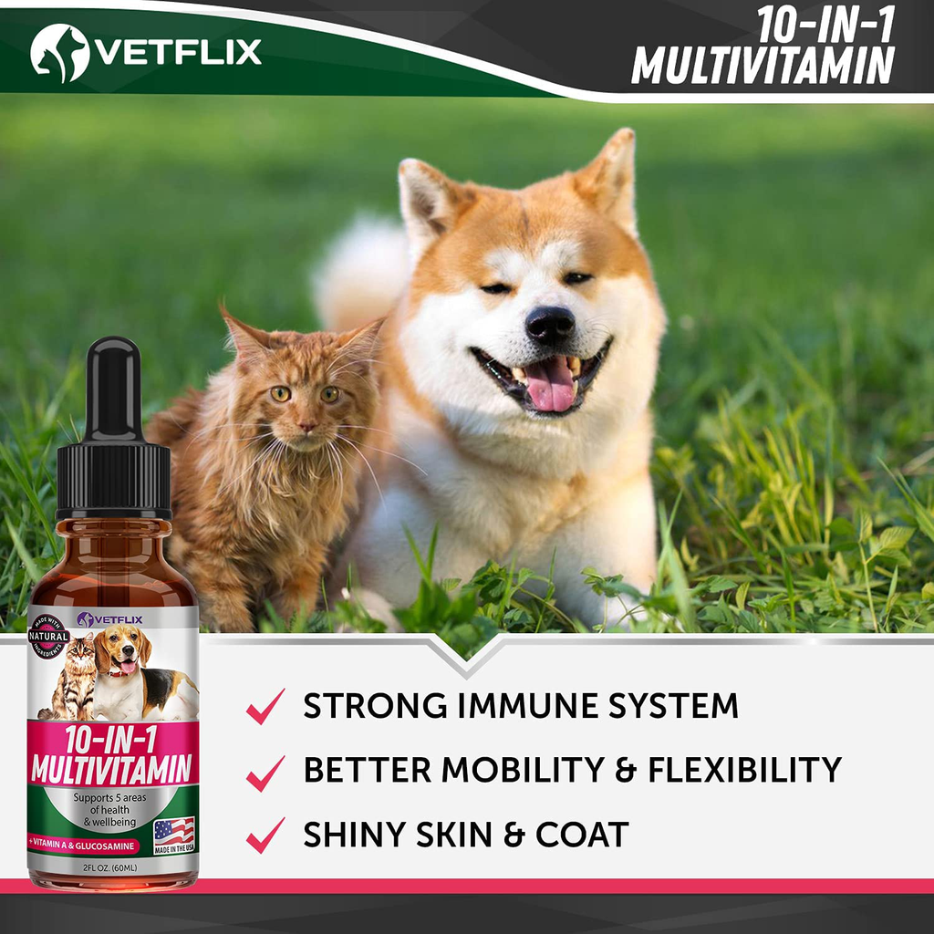 Vetflix Herbal Pet Supplement for Immune System Support