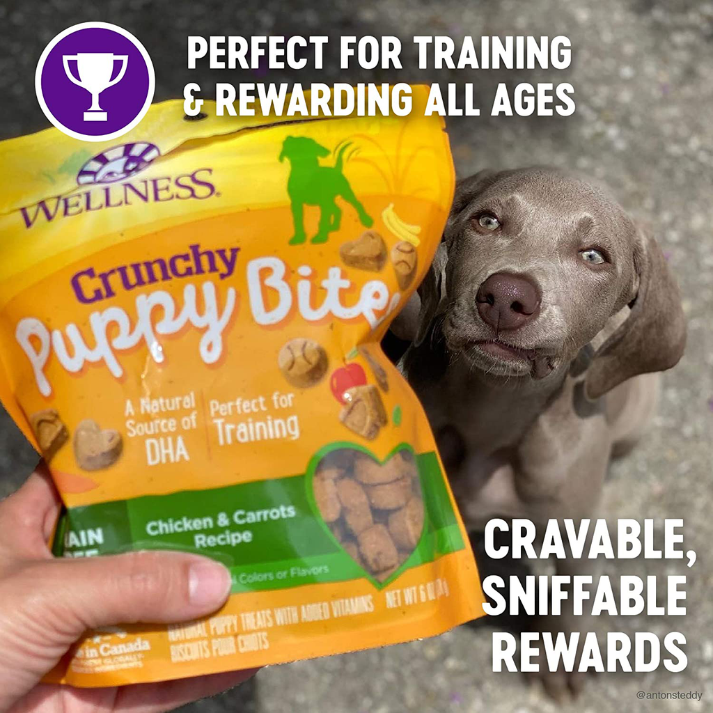 Wellness Natural Pet Food Grain-Free Crunchy Puppy Bites Chicken & Carrots Recipe Dog Treats