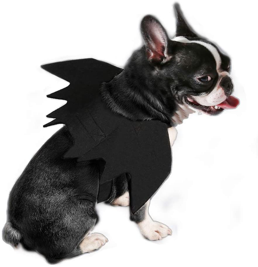 Ehdching Cat Costume Halloween Pet Bat Wings Cat Dog Bat Costume