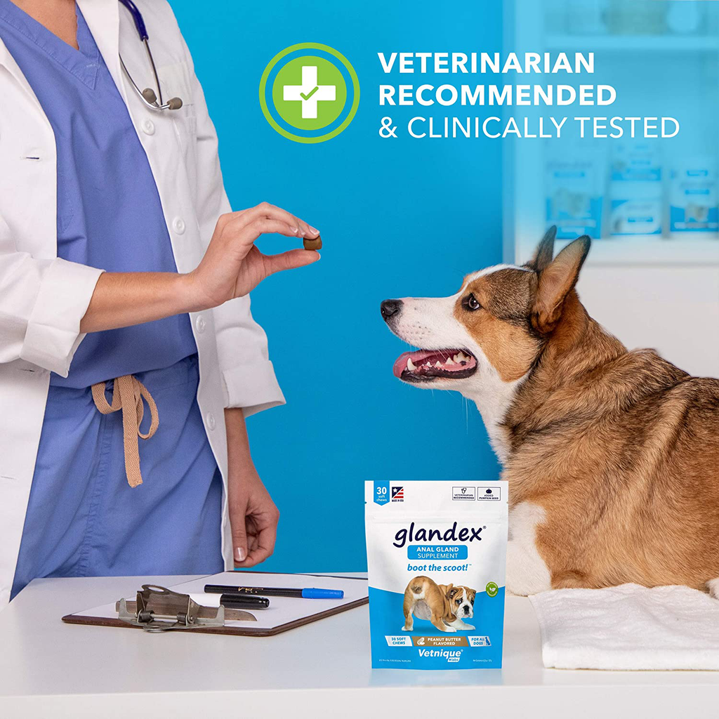 Glandex Anal Gland Soft Chew Treats with Pumpkin for Dogs 60ct Chews with Digestive Enzymes, Probiotics Fiber Supplement for Dogs – Vet Recommended - Boot The Scoot - by Vetnique Labs