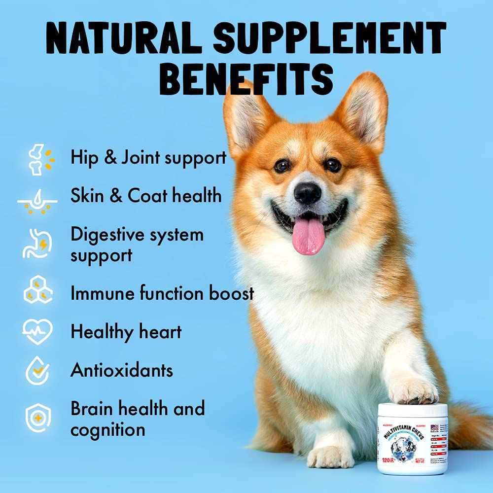LEGITPET Dog Vitamins - Multivitamins Chews w/Glucosamine Chondroitin, Probiotics Digestive Enzymes and Omegas - Supplement for Overall Health - Joint Support, Immune Health, Skin and Heart Health