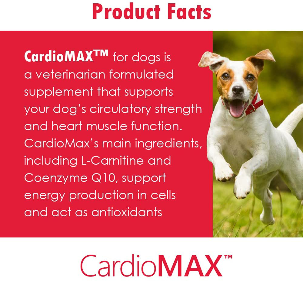 CardioMAX Heart Support Supplement for Dogs - L-Taurine, L-Carnitine, EPA and DHA, Coenzyme Q10 - Aids Circulatory Strength, Cardiovascular Support, Heart Muscle Function - Made in USA - 60 Soft Chews