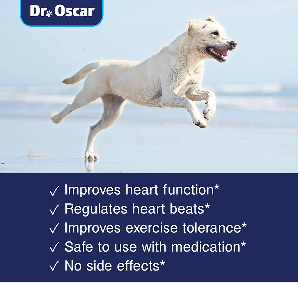 Taurine Supplement for Dogs, Meets RDA of 500 mg per 25lbs Weight Unlike Most Competitors, 120ct, Vet Endorsed for Enlarged Heart (DCM), Congestive Heart Failure (CHF) Taurine Deficiency, Heart Murmur