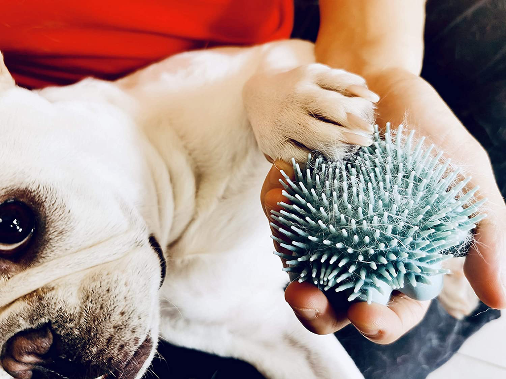 Ctpeng Dog Bath Brush Pet Shampoo Brush for Soothing Massaging Washing Deshedding