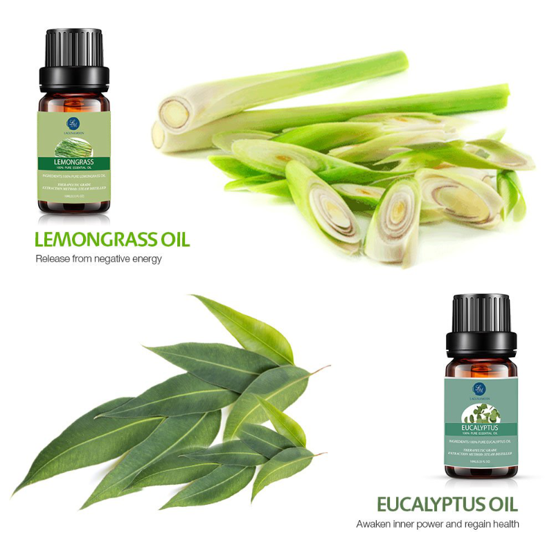 6 Piece Aromatherapy Essential Oils Gift Set 