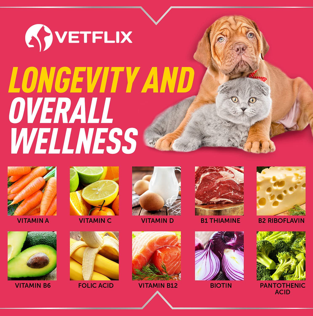 Vetflix Herbal Pet Supplement for Immune System Support