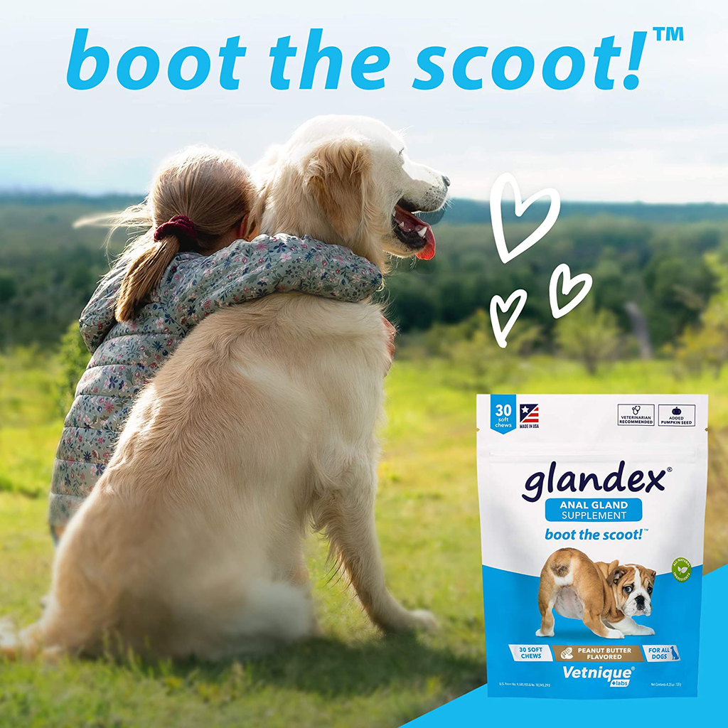 Glandex Anal Gland Soft Chew Treats with Pumpkin for Dogs 30ct Chews with Digestive Enzymes, Probiotics Fiber Supplement for Dogs – Vet Recommended - Boot The Scoot - by Vetnique Labs