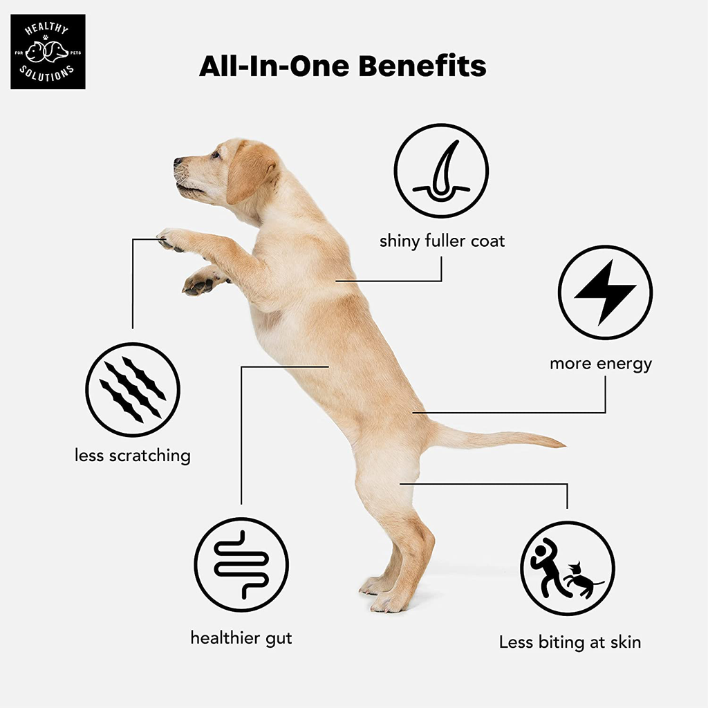 All-in-One Dog Vitamins & Supplements - Dog Multivitamin Supplement for Joint Support, Digestion, Skin, & Coat - Plus Omega-3, 6, 9 - Ultimate Daily Vitamin for Dogs - Made in USA