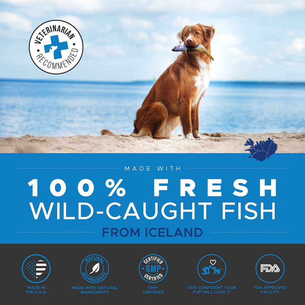 PetHonesty 100% Natural Omega-3 Fish Oil for Dogs from Iceland - Omega-3 for Dogs - Pet Liquid Food Supplement- EPA + DHA Fatty Acids Reduce Shedding & Itching- Supports Joints, Brain & Heart Health