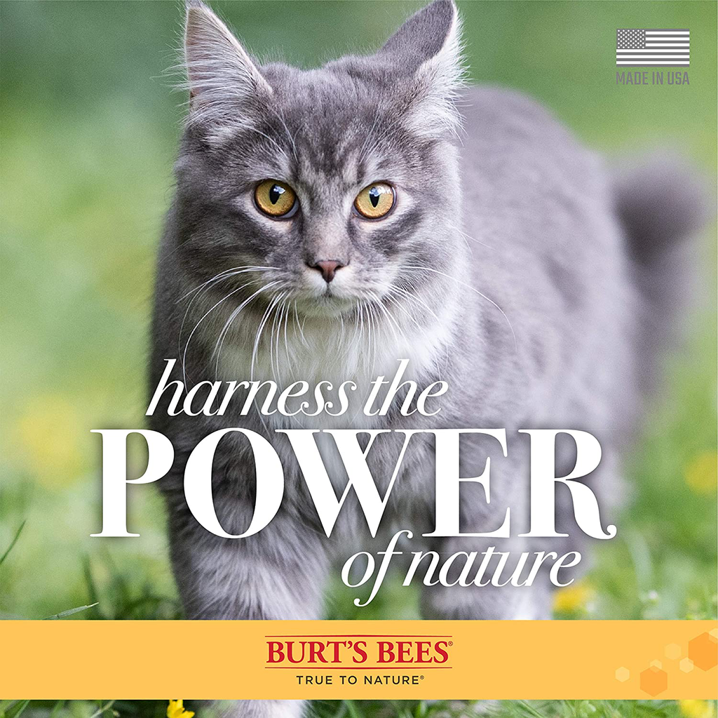 Burt's Bees for Cats Dander Reducing Wipes - Kitten and Cat Wipes for Grooming - Burts Bees Cat Dander Wipes, Cat Grooming Wipes, Pet Wipes Cats, Cat Cleaning Wipes, Natural Cat Wipes, Cat Fur Wipes
