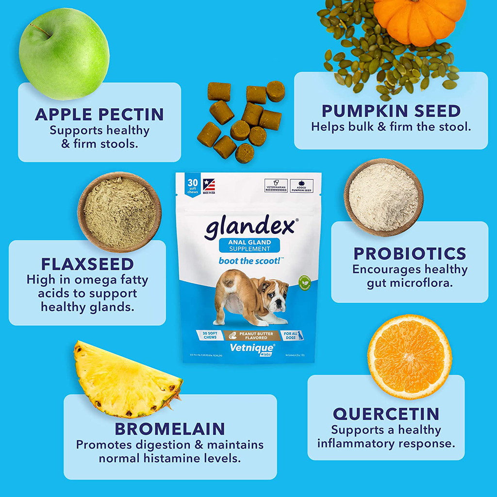 Glandex Anal Gland Soft Chew Treats with Pumpkin for Dogs 30ct Chews with Digestive Enzymes, Probiotics Fiber Supplement for Dogs – Vet Recommended - Boot The Scoot - by Vetnique Labs