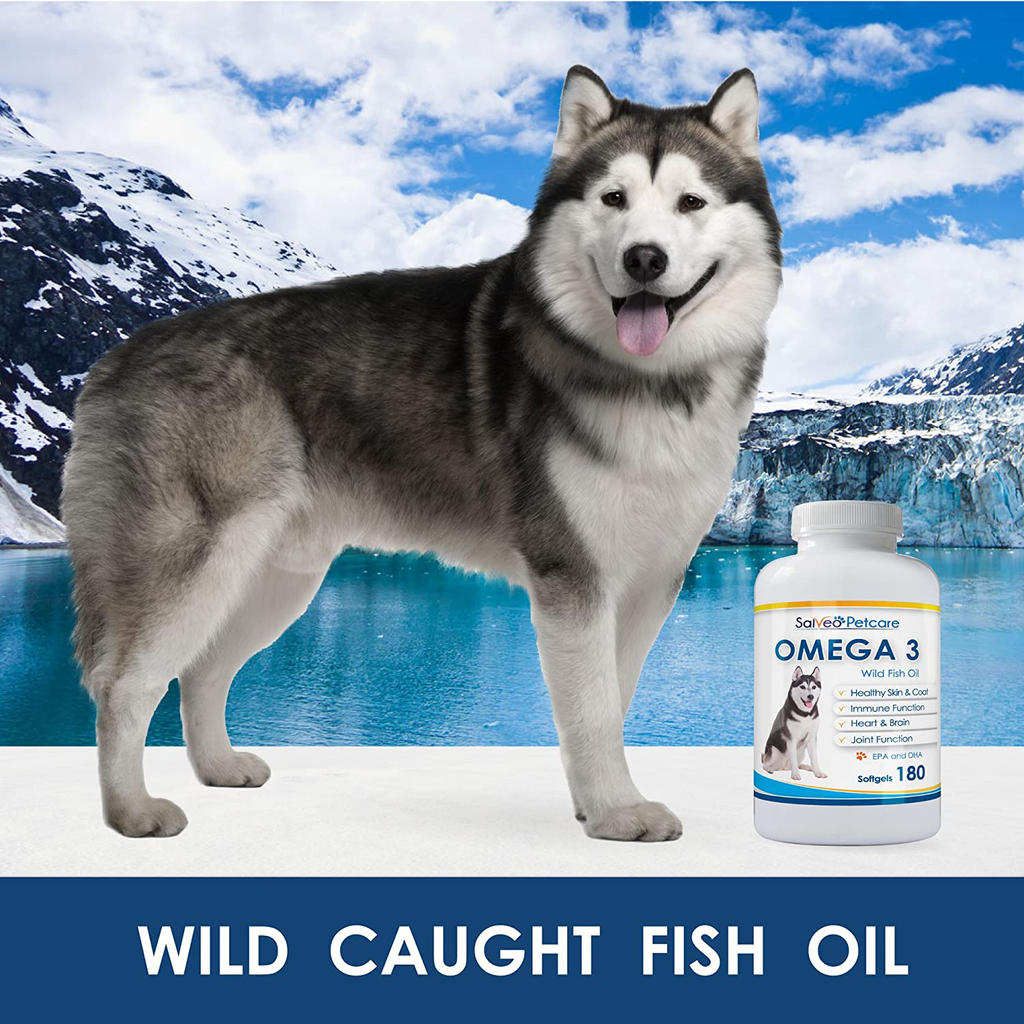 Salveo Petcare Omega 3 Fish Oil for Dogs - Natural Pet Supplement for Shiny Coat - Wild Caught More EPA & DHA Than Salmon Oil - No Fishy Smell or Mess - Ideal for Medium Large Dogs
