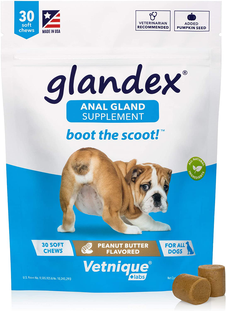 Glandex Anal Gland Soft Chew Treats with Pumpkin for Dogs 30ct Chews