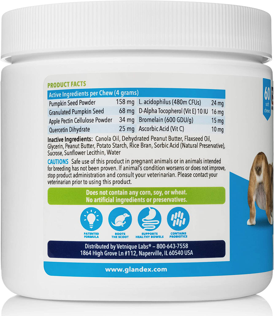 Glandex Anal Gland Soft Chew Treats with Pumpkin for Dogs 60ct Chews with Digestive Enzymes, Probiotics Fiber Supplement for Dogs