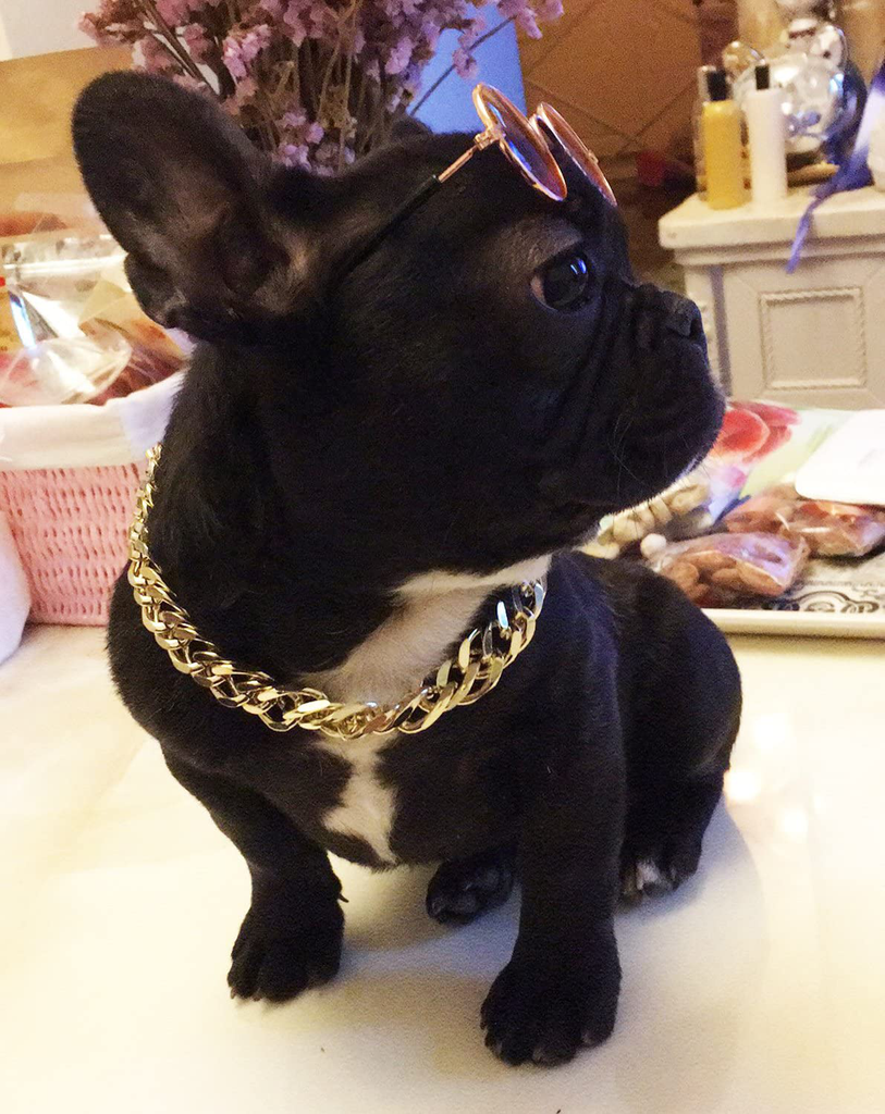 Legendog Dog Neck Chain Pet Chain Collar Fashion Cool Plastic Pet Chain Necklace for Cat Dog