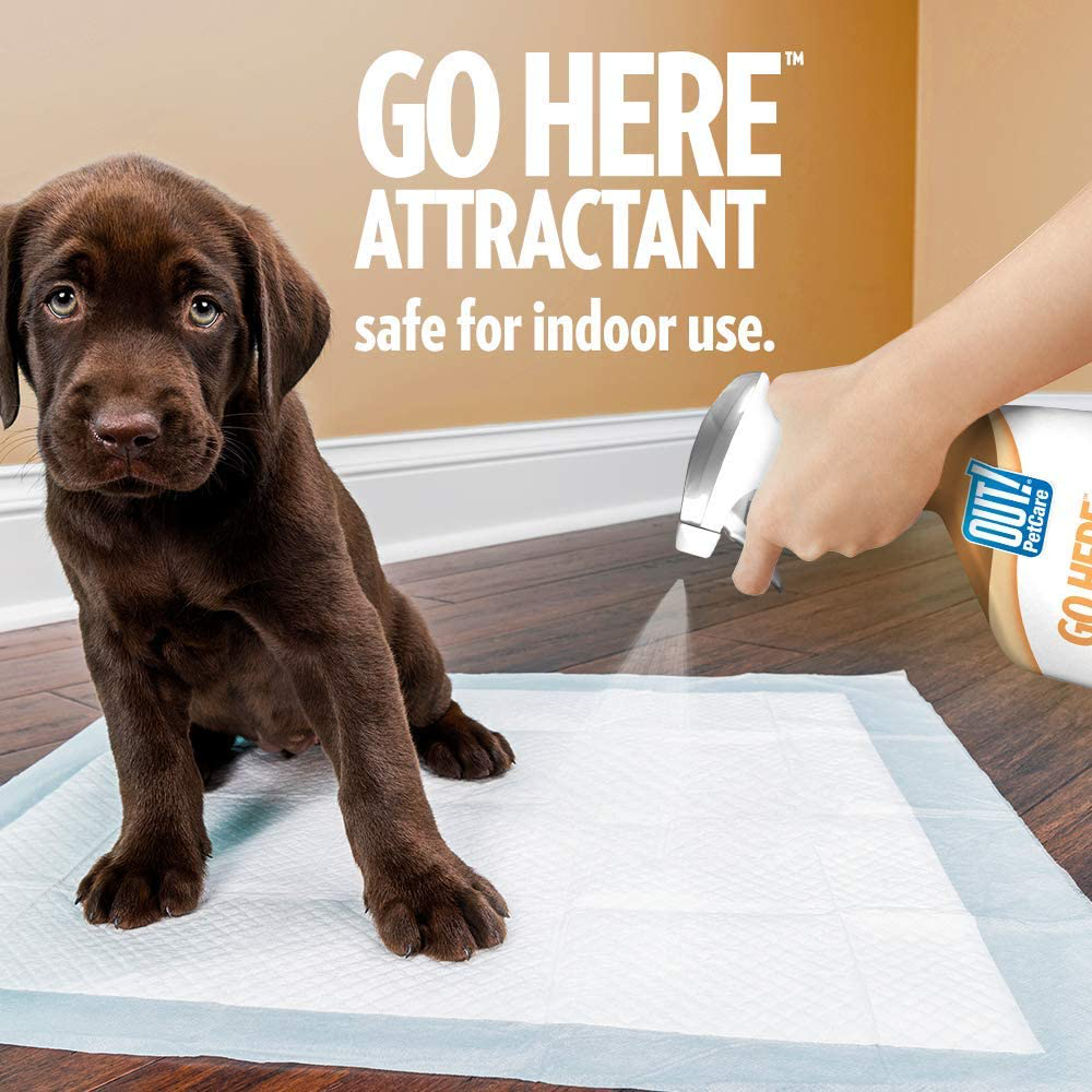 OUT! Go Here Attractant Indoor & Outdoor Dog Training Spray | Housetraining Aid for Puppies and Dogs | 32 Oz