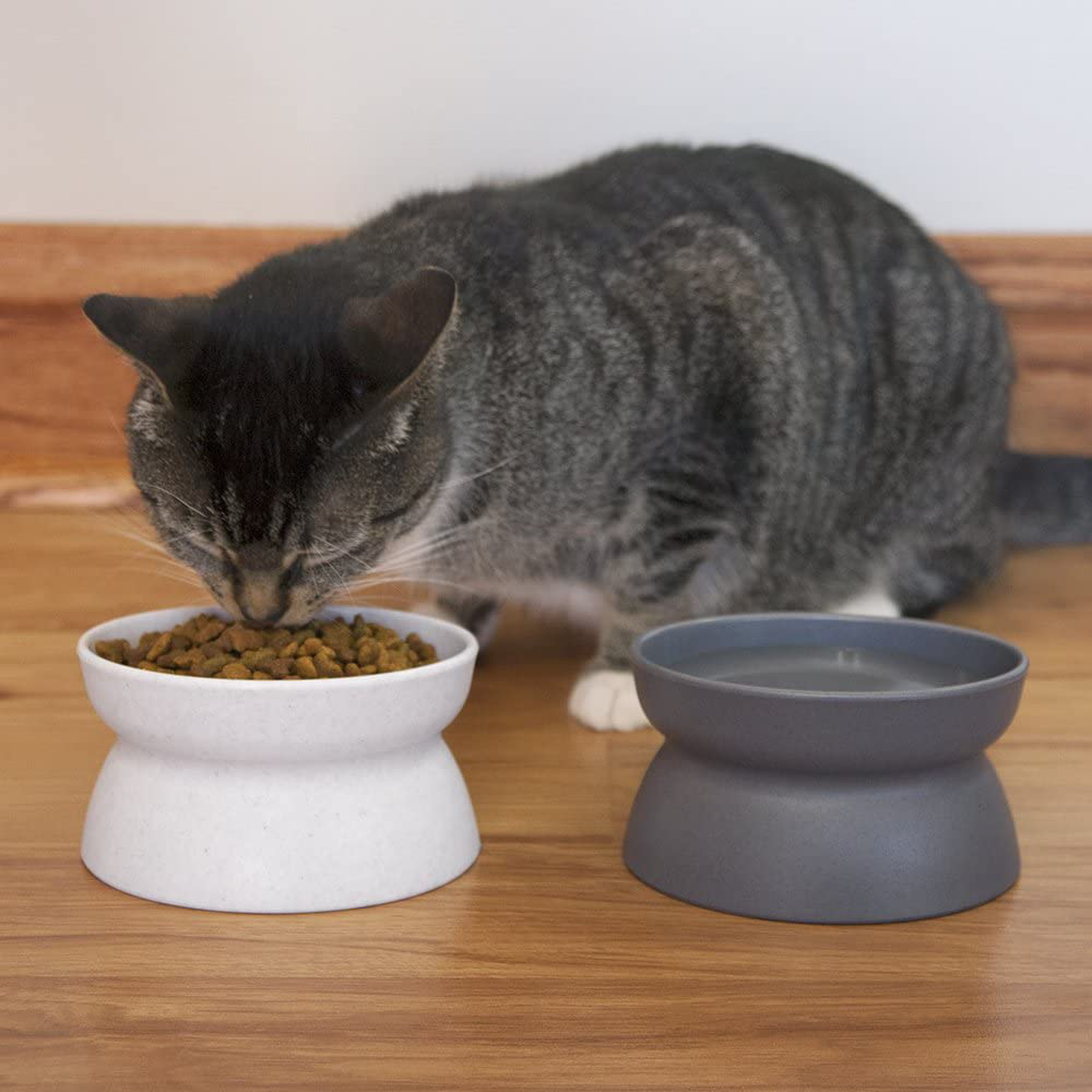 Kitty City Cat Bowl, 6.5 ounce, 2 count