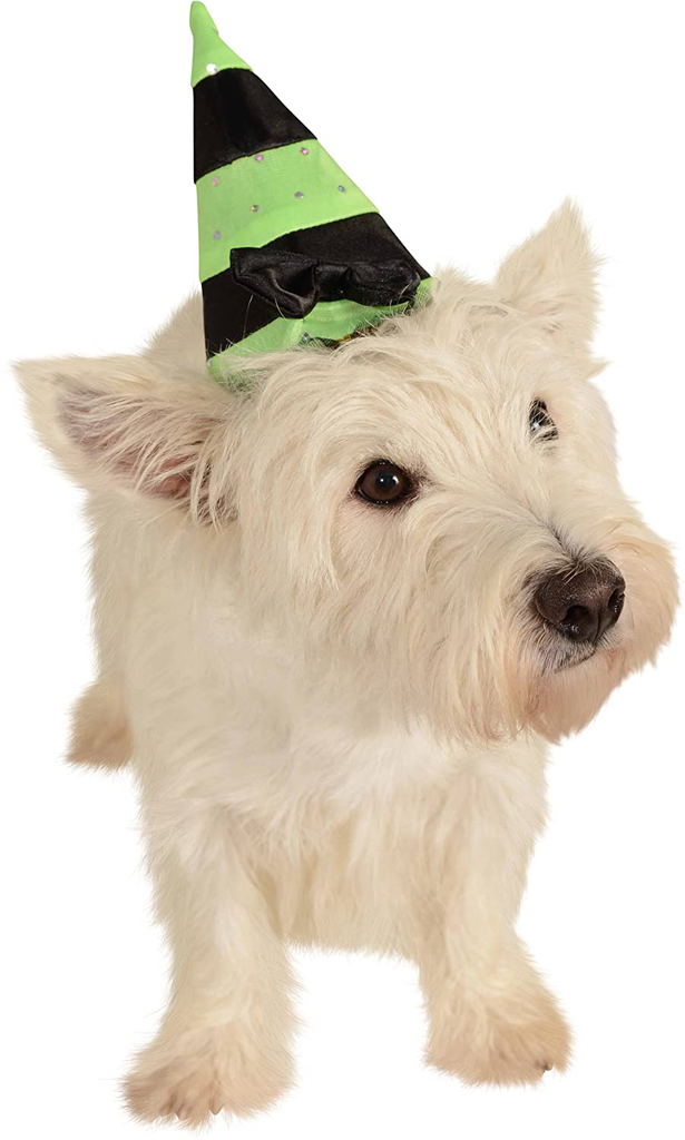 Rubie's Pet Costume, Small to Medium, Green and Black Witch Hat