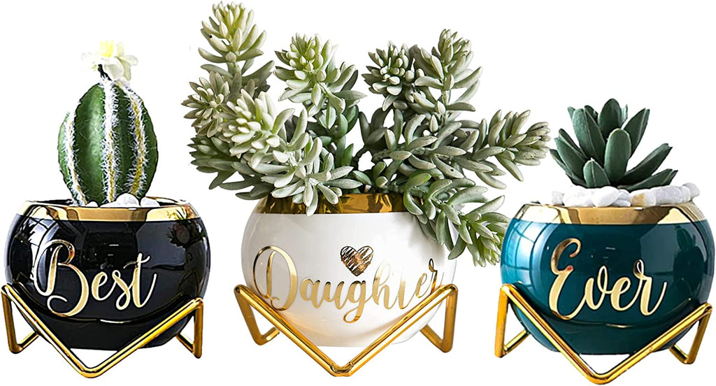  3 Succulent Pots For Her  