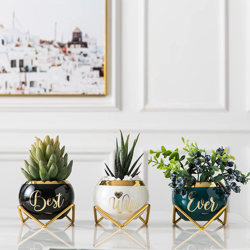  3 Succulent Pots For Her  