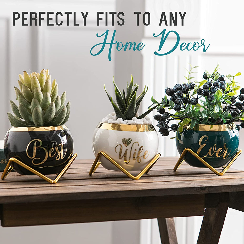  3 Succulent Pots For Her  