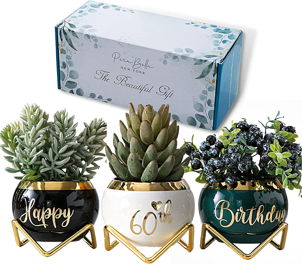  3 Succulent Pots For Her  