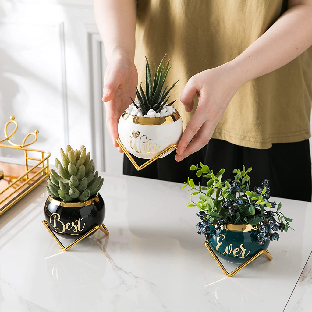  3 Succulent Pots For Her  