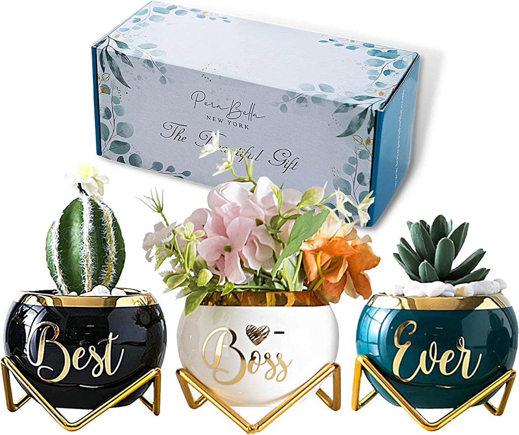  3 Succulent Pots For Her  