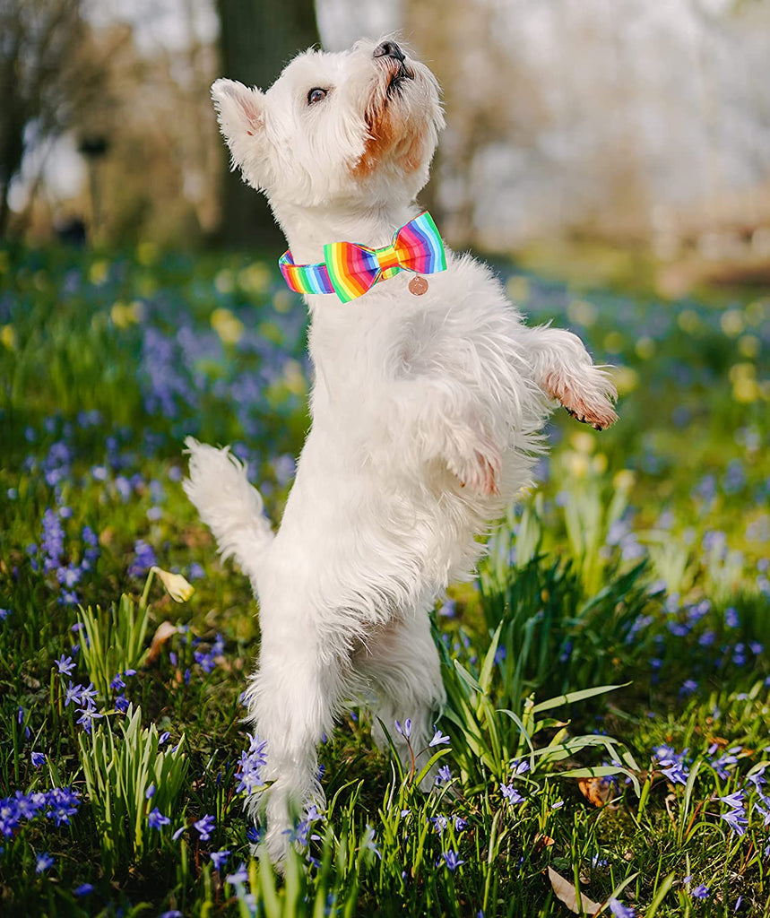 Cotton Dog Collar and Bow Rainbow Pet Collar, Pride Dog Collar Comfortable and Adjustable Dog Collar for Large Small Medium Dog