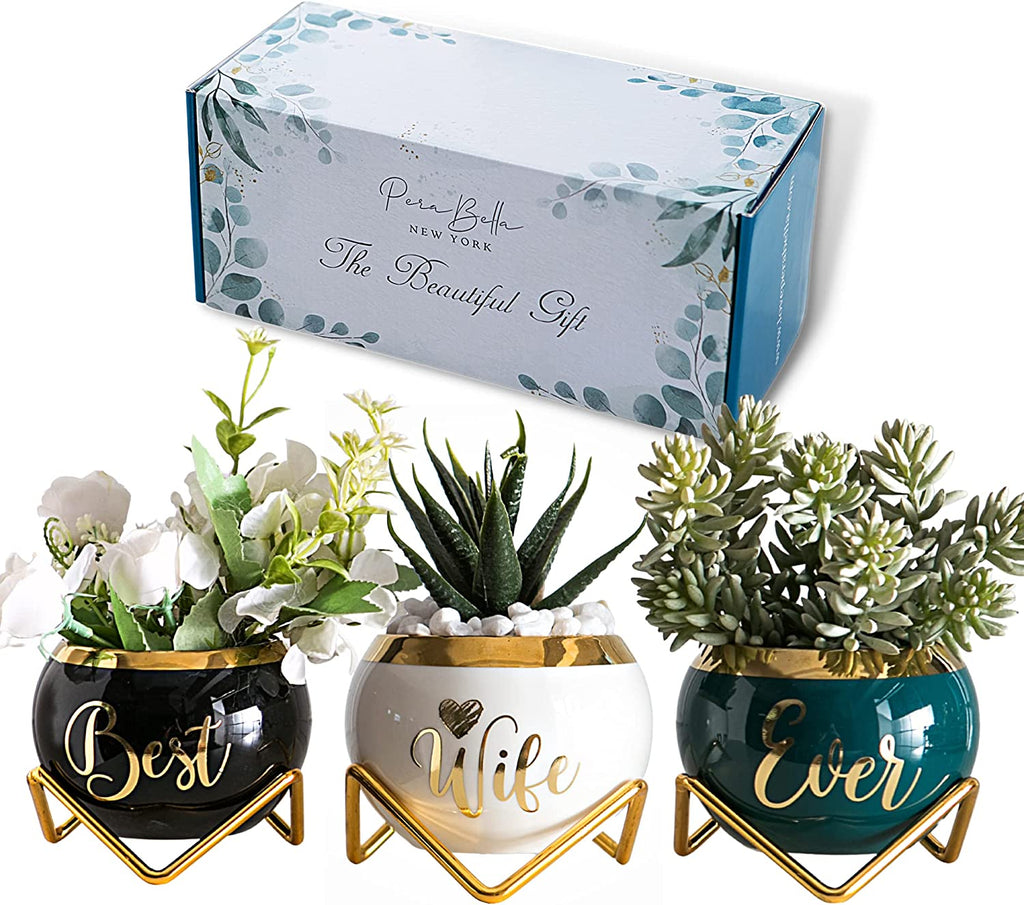 3 Succulent Pots For Her  