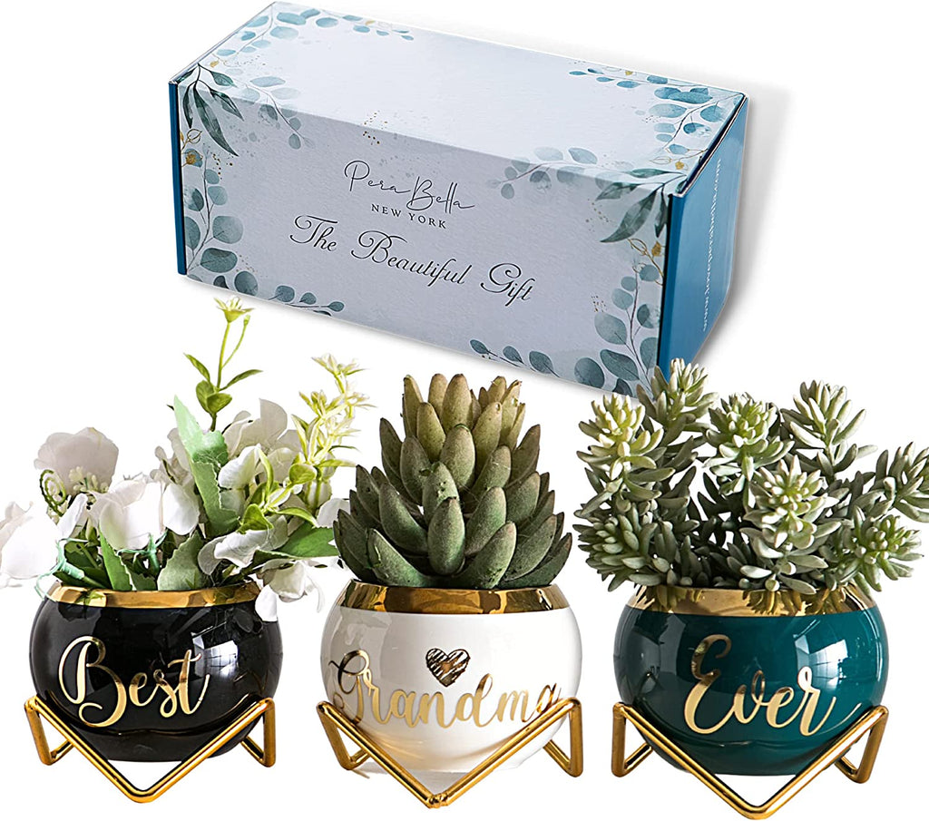  3 Succulent Pots For Her  